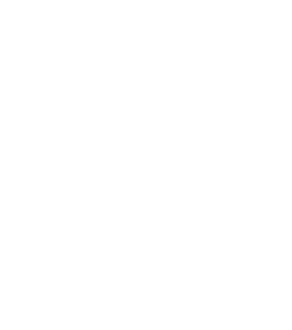 Foundation Lachezar Tsotsorkov